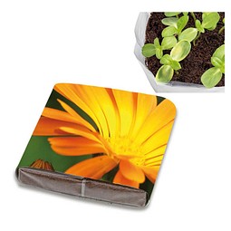 PopUp Anzuchterde mit Samen, Ringelblume, 1-seit. Druck