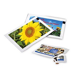 Samen-Briefchen, Sonnenblumen, 2-seit. Druck
