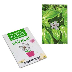 Samen-Karte-Mini Blume, Ostern, Basilikum, 2-seit. Druck