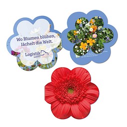 Samenpapier in Klappkärtchen Blume, Blümchen, 2-seit. Druck