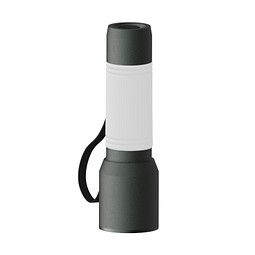 Taschenlampe REEVES-myFLASH 300, anthrazit/weiß