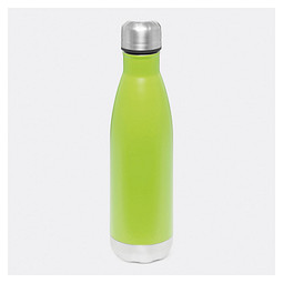 Vakuum-Trinkflasche GOLDEN TASTE doppelwandig,grün