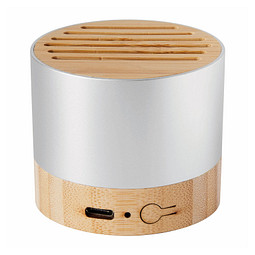 Wireless-Lautsprecher PURE SOUND,silber