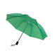 Taschenschirm, grün
