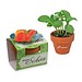 Tontöpfchen-Blume inkl. Samen - Gewürzpaprika, inkl. Druck, individuell