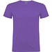 Irisches Violett