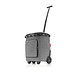 reisenthel® Einkaufsroller carrycruiser plus, frame twist silver