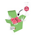 Color Lindor Box - Hellgrün - Erdbeer-Sahne