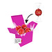 Color Lindor Box - Pink - Vollmilch