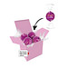 Color Lindor Box - Rosa - Mandel