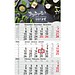 Geiger-Notes Monatskalender Budget 3 Bestseller, inkl. Druck, hellgrau