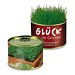 Natur-Konserve mit Samen, Gartenkresse, 1-seit. Druck