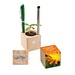 Pflanz-Holz Büro mit Samen, Ringelblume, 1-seit. Druck
