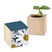 Pflanz-Holz mit Samen, Margerite, 1-seit. Druck