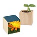 Pflanz-Holz mit Samen, Ringelblume, 1-seit. Druck