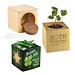 Pflanz-Holz Star-Box mit Samen, Glücksklee