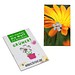 Samen-Karte-Mini Blume, Ringelblume, 2-seit. Druck