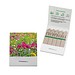 Samen-Stick, Wildblumenmischung, 2-seit. Druck