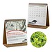 Samenpapier-Tischkalender, Minze, 1-seit. Druck