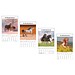 Bild-Wandkalender Pferde 2026