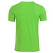 JAMES & NICHOLSON Herren T-Shirt Basic aus Bio-Baumwolle, hellgrün, L