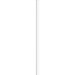 BIC® Evolution® Ecolutions® Cut Bleistift Weiß Ungeschärft