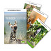 Bildkalender Tierisch Cool 2021 Bildkalender Tierisch Cool 2021