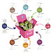Color Lindor Box Pink Erdbeer Color Lindor Box Pink Erdbeer