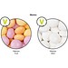 Minitüte, 8 g, recyclingfähiges Papier weiß, Mentos Kaudragee Mint, inkl. Druck
