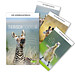 Bildkalender Tierisch Cool 2021 Bildkalender Tierisch Cool 2021