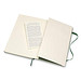 MOLESKINE® Notizbuch Classic Hardcover L, liniert, myrtle green