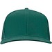 Drift Snapback Kappe mit 6 Segmenten, 260 g/m2, waldgrün