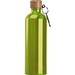 Edelstahltrinkflasche mit Karabiner, 750ml, apfelgrün