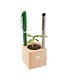 Pflanz-Holz Büro mit Samen, Ringelblume, 1-seit. Druck