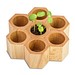 Pflanz-Holz Hexagon mit Samen, Sommerblumenmischung, 1-seit. Druck