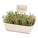 Pflanz-Set, 2er-Set, Basilikum / Gartenkresse, 1-seit. Druck