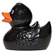 Schnabels® Quietsche-Ente, schwarz/glitzer