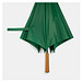 Automatik-Stockschirm LIMBO,grün