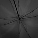Gastschirm FRAME, schwarz