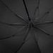 Stockschirm LORD, schwarz