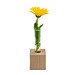 Mini-Vase, Ostern, 1-seit. Druck
