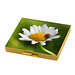 Motivpuzzle Einstein, standard-grün Motivpuzzle Einstein, standard-grün