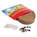 Plant-Tab mit Samen, Schnittlauch, 1-seit. Druck