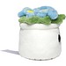 Schmoozies® Evergreenies® Vergissmeinnicht, multicolour