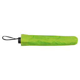Taschenschirm, apfelgrün